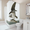 Search for fish hawk Audubon