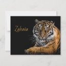 Search for zoo note cards Jungle