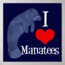Search for manatee posters Animal