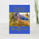 Search for blue jay christmas cards Bird