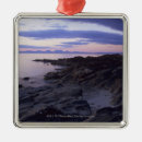 Search for coast christmas tree decorations Sky