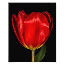 Search for profile art Flower