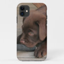 Search for chocolate lab iphone cases Puppy