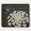 Search for faerie queen electronics Floral