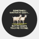 Search for special offer stickers Christmas store