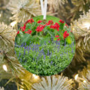 Search for scenic christmas tree decorations Photograph
