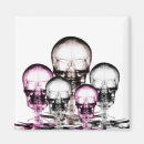 Search for xray magnets Gothic