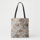 Search for anima accessories Fox