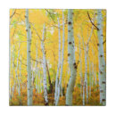 Search for fall colour tiles Aspen