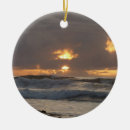 Search for san diego christmas tree decorations Ocean