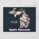 Search for apple blossoms postcards Pretty