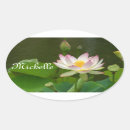 Search for white lotus stickers Flower