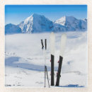 Search for ski coasters Alps