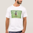 Search for wild duck clothing Animals
