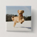 Search for mix breeds badges Pet