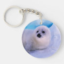 Search for harp seal key rings Pup