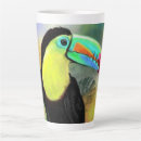 Search for toucan birds mugs Colorful