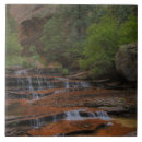 Search for zion tiles Utah