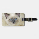 Search for ragdoll cat gifts Fur