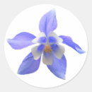 Search for columbine stickers Nature