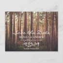 Search for forest tree postcards Rustic