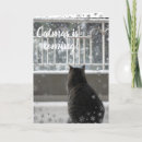 Search for tabby christmas cards Funny