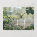 Search for ruby throated postcards Green