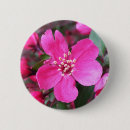 Search for pink flowering badges Landscape