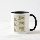 Search for statistics mugs Lithographed