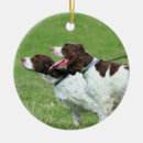 Search for brittany spaniel christmas tree decorations Animal