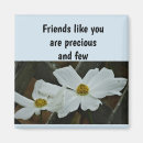 Search for shasta magnets Flower