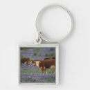 Search for graze key rings Field