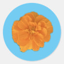 Search for marigold flower stickers Orange