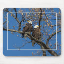 Search for bird perched on tree electronics Birds