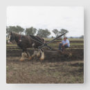 Search for plough Country