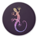 Search for lizard knobs and pulls Illustration