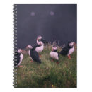 Search for puffin notebooks Wildlife