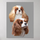 Search for cavalier king charles spaniel art Puppies