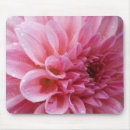 Search for chrysanthemums mousepads Pink