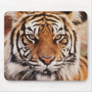 Search for sumatran mousepads Animal