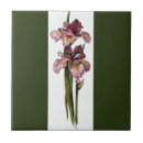 Search for dark green tiles Iris