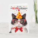 Search for black cat birthday cards Black and white cats