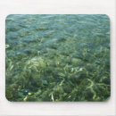 Search for blue grass mousepads Water