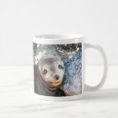 Search for galapagos mugs Nature