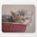 Search for tired mousepads Photography