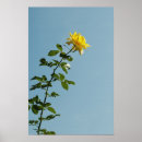 Search for romance love art Nature