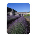 Search for gordes magnets Provence