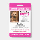 Search for cancer Pink