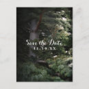 Search for pine tree save the dates Nature