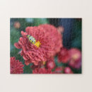 Search for beetle puzzles Red